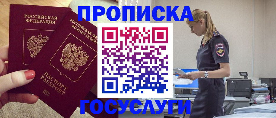 прописка поиск в Купино